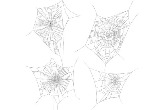 Download Spider Web Illustrations - Spider web Collection